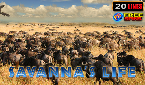 Savannas Life